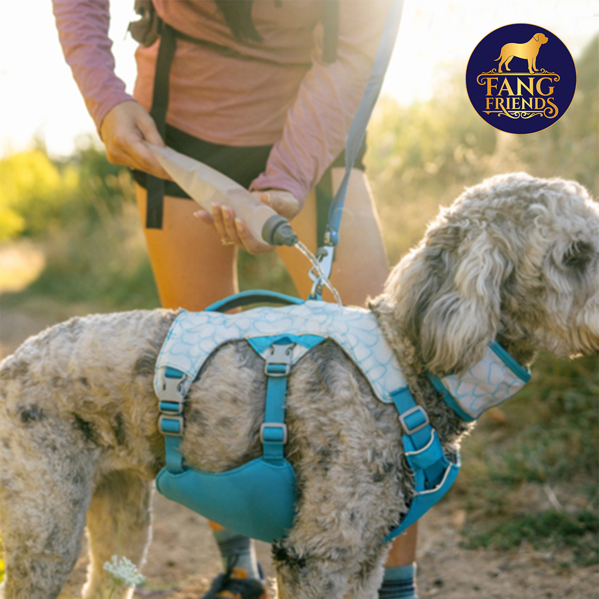 Arnés refrescante para perros Ruffwear (Swamp Cooler™)