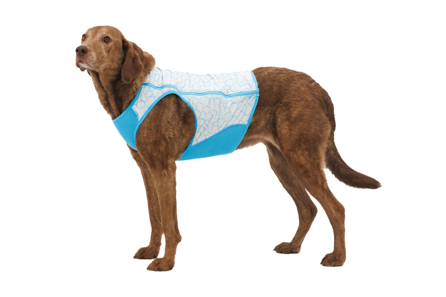 Chaleco refrescante Zip para perros Ruffwear con cremallera (Swamp Cooler™)