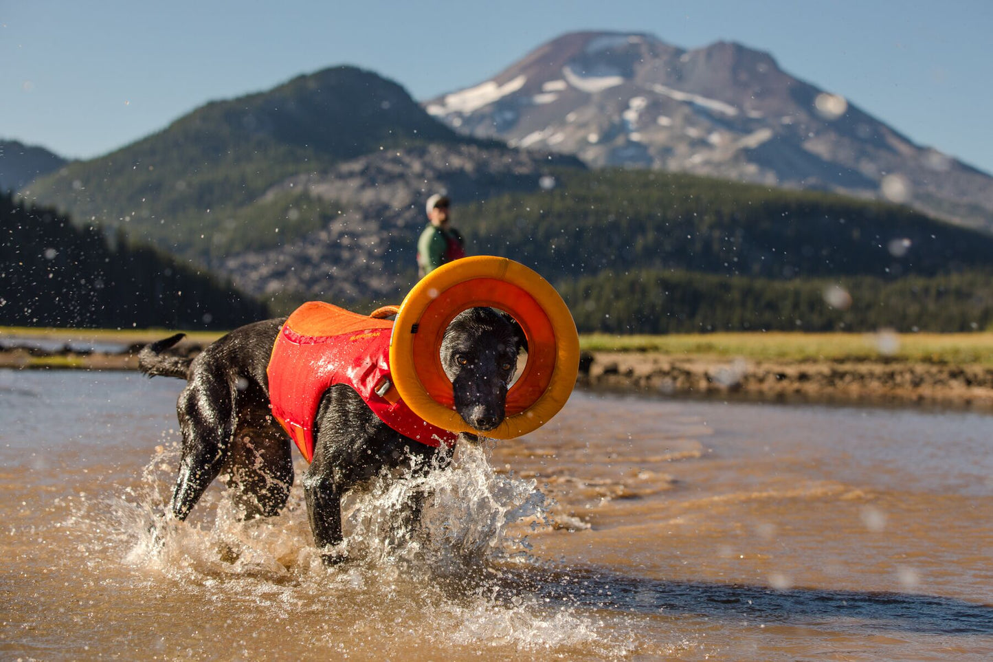 Juguete Flotante para Perros Ruffwear Hydro Plane