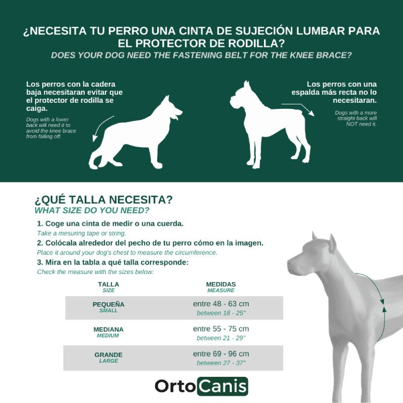 Protector de rodilla OrtoCanis