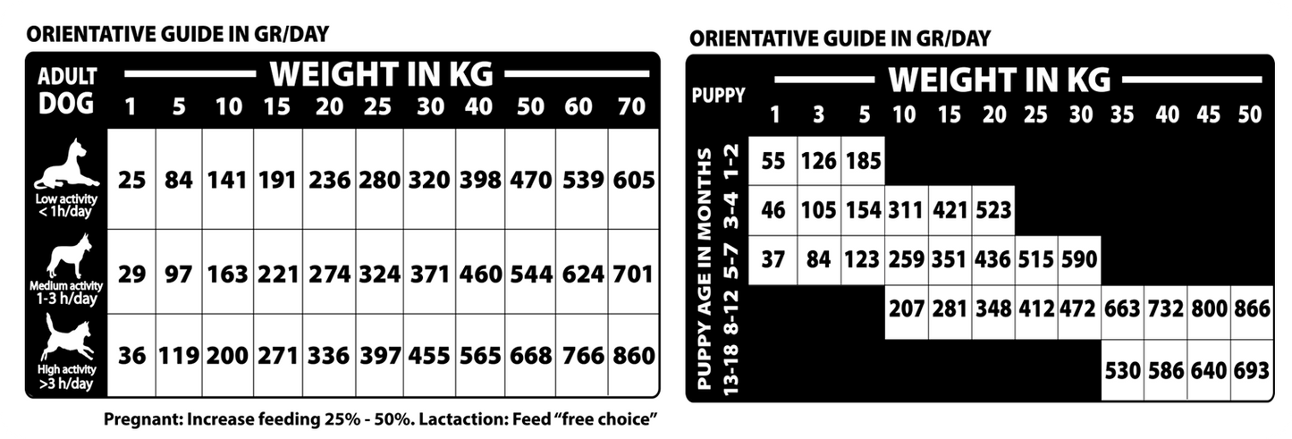 Natural Woodland - Ocean Diet - All Age, All Breed