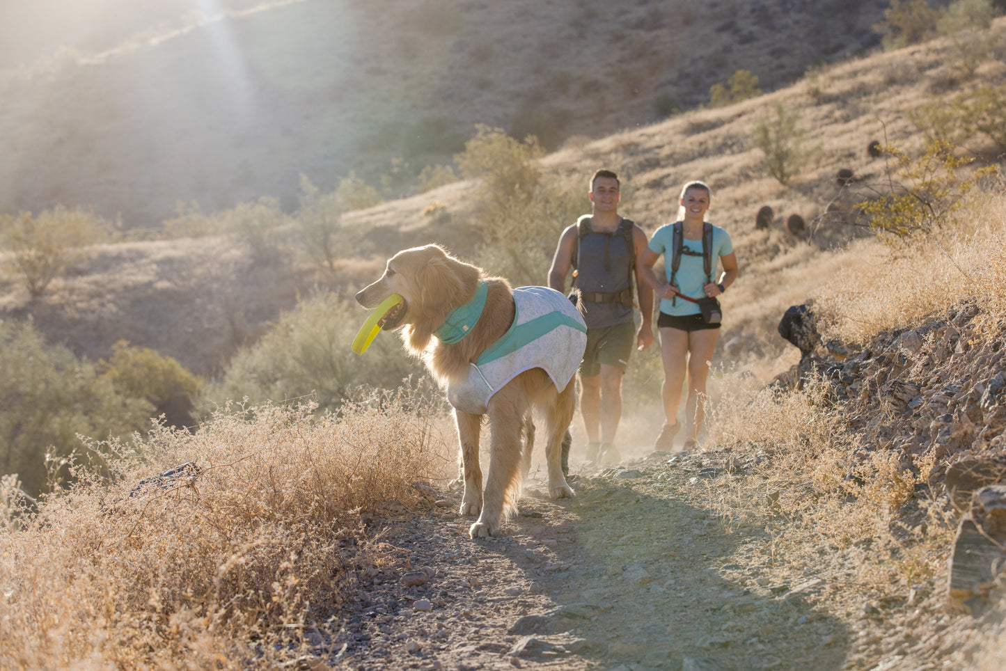 Chaleco refrescante elástico para perros Ruffwear (Swamp Cooler™)