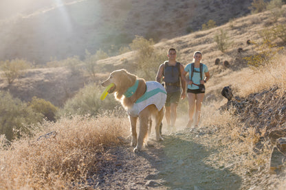 Chaleco refrescante elástico para perros Ruffwear (Swamp Cooler™)