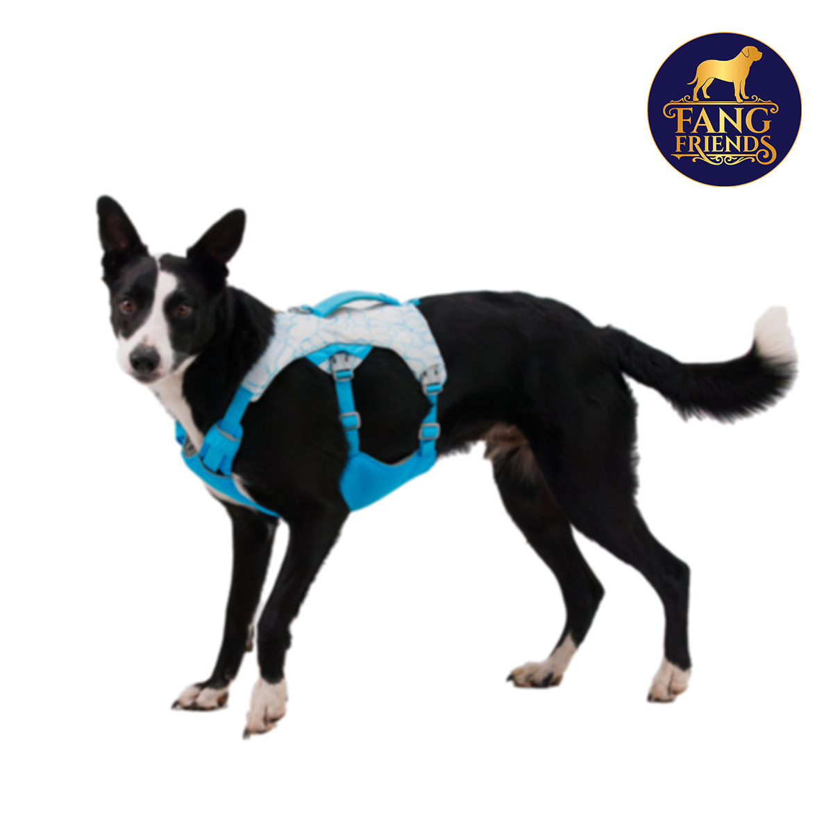 Arnés refrescante para perros Ruffwear (Swamp Cooler™)
