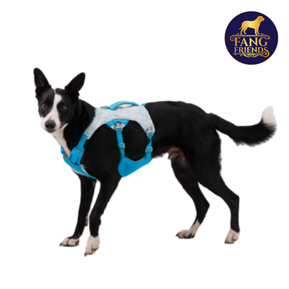 Arnés refrescante para perros Ruffwear (Swamp Cooler™)