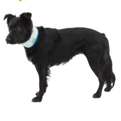 Braga de Cuello Refrescante Reversible Ruffwear (Swamp Cooler™)