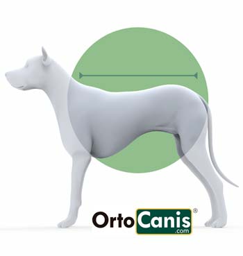 Body Protector para Perro OrtoCanis