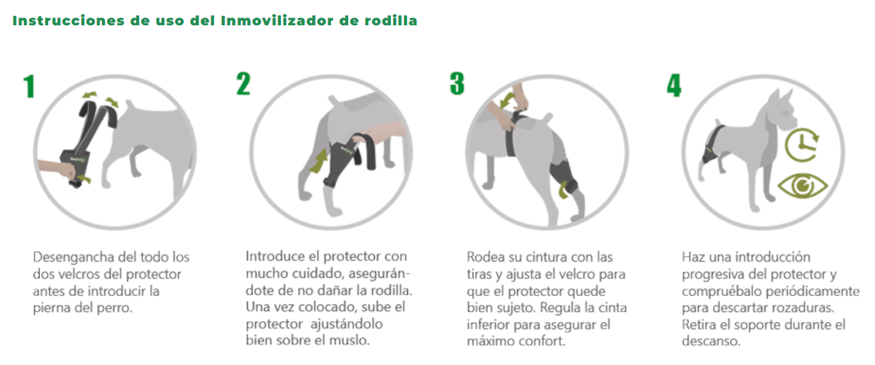 Inmovilizador de rodilla OrtoCanis
