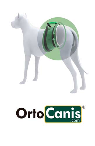 Banda de Ayuda OrtoCanis