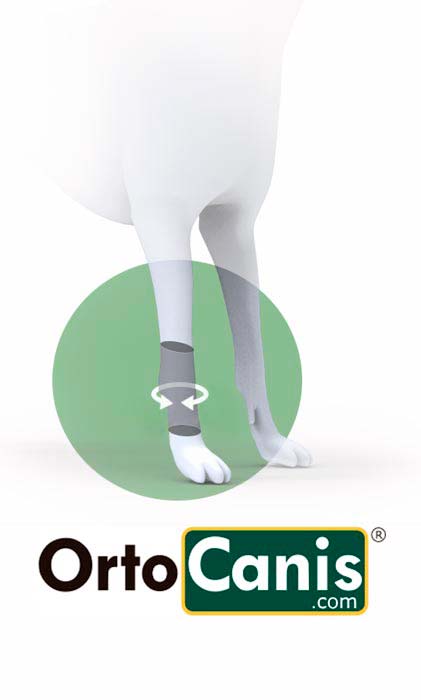 Muñequera para Perro OrtoCanis