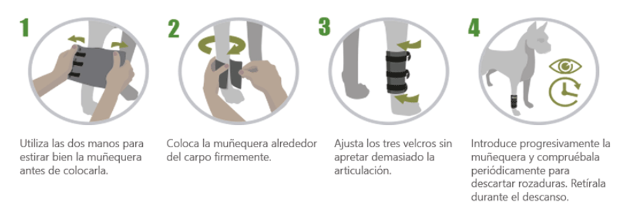 Muñequera para Perro OrtoCanis