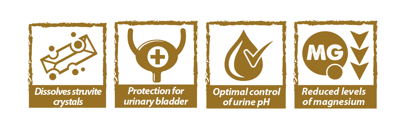Urinary-Struvite Húmedo - Dieta Veterinaria para Perros Júnior y Adultos