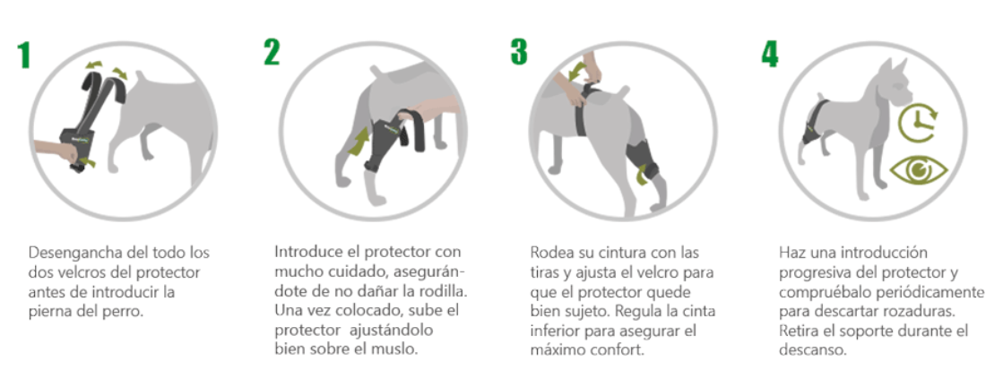Protector de rodilla OrtoCanis