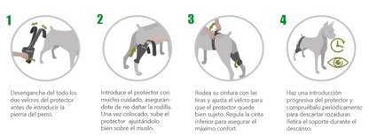 Protector de rodilla OrtoCanis