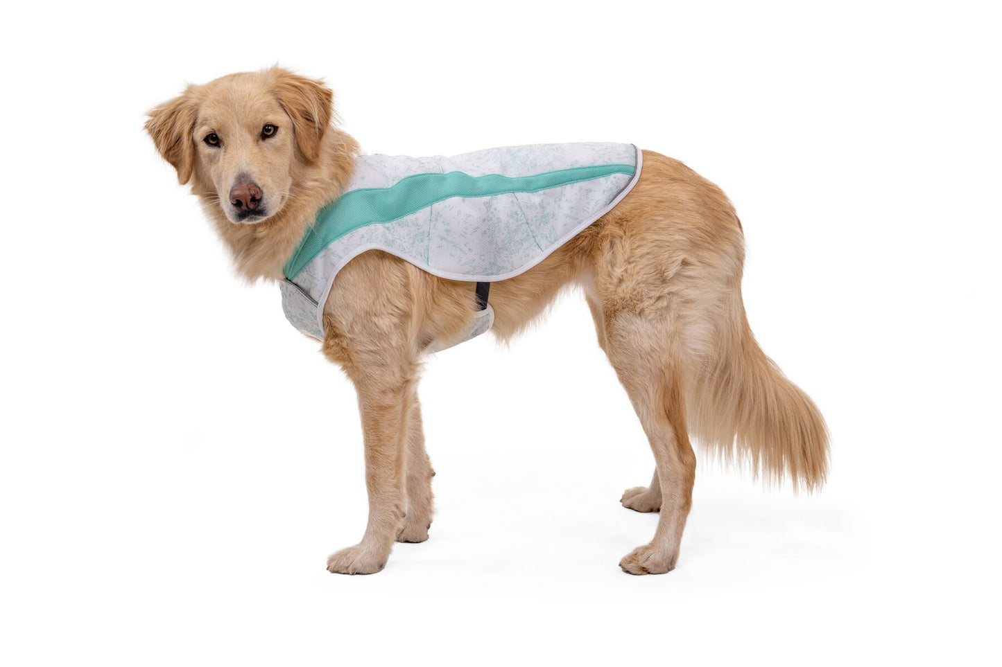 Chaleco refrescante elástico para perros Ruffwear (Swamp Cooler™)