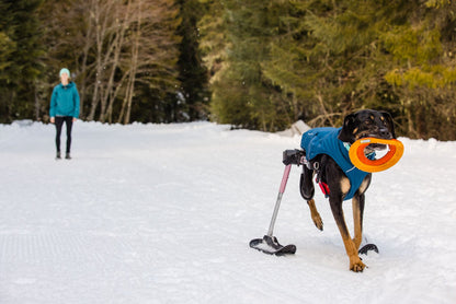 Juguete Flotante para Perros Ruffwear Hydro Plane
