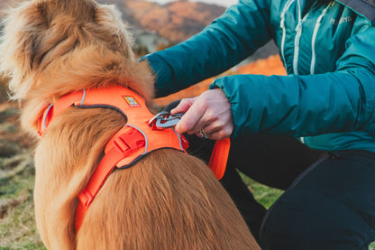 Arnés Ruffwear para Perros Front Range