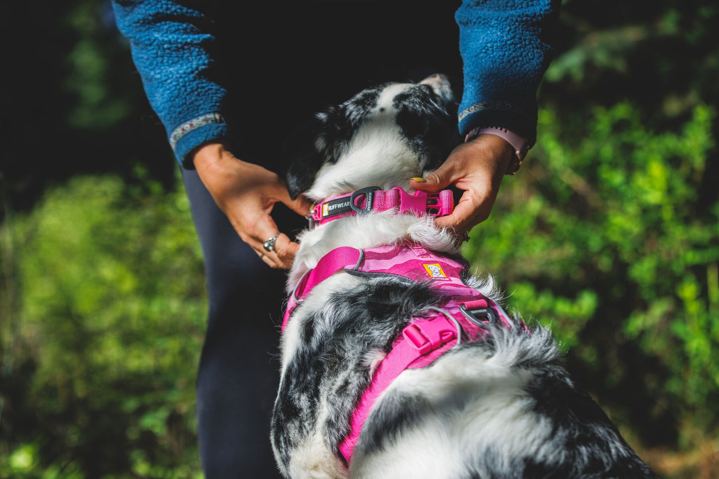 Arnés Ruffwear para Perros Front Range