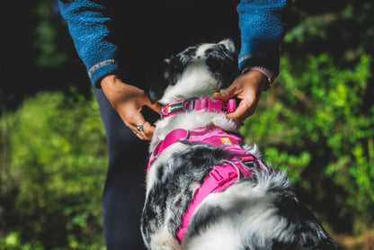 Arnés Ruffwear para Perros Front Range