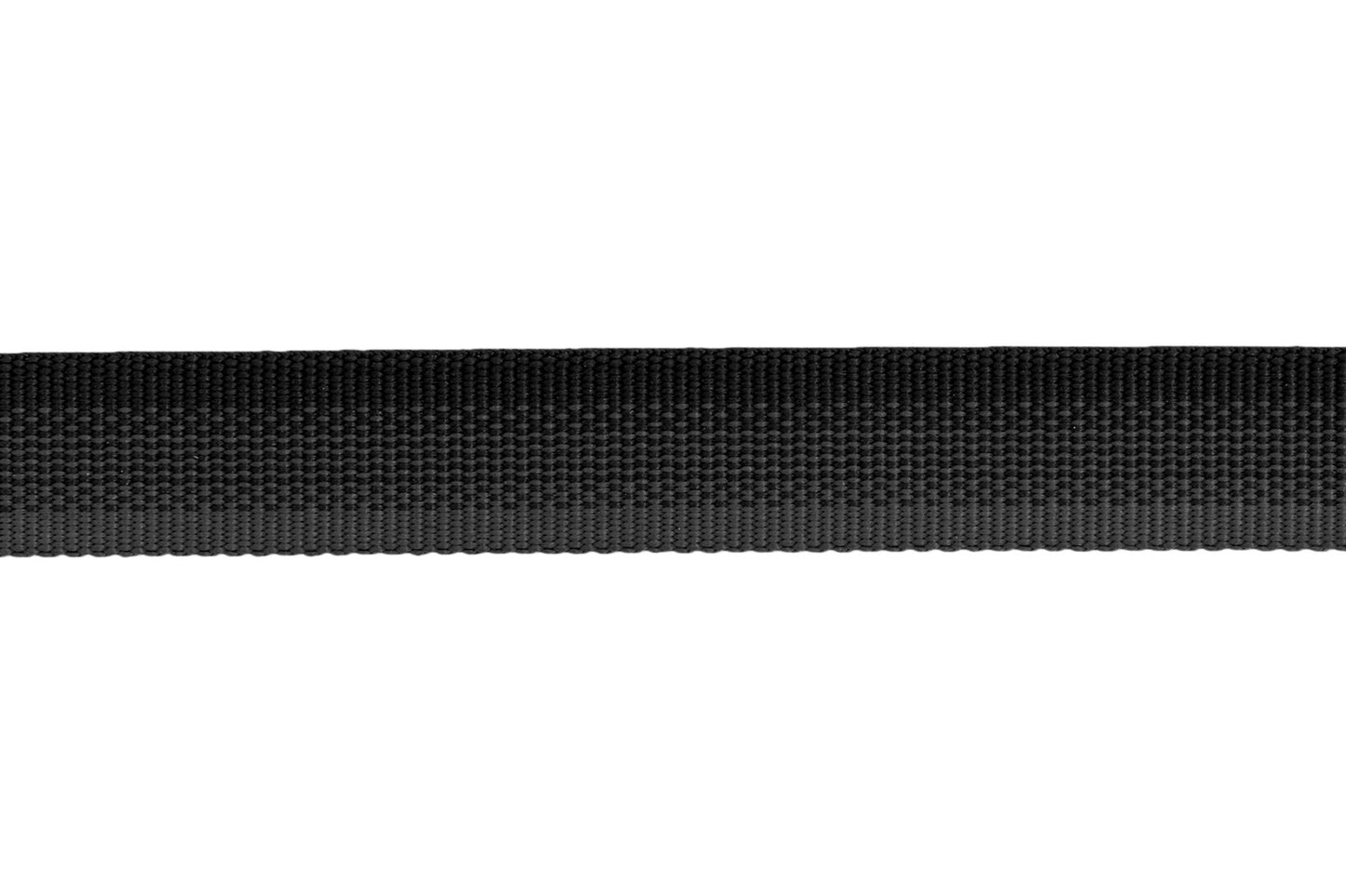 Correa Ruffwear para Perros Larga Rogue Long Line