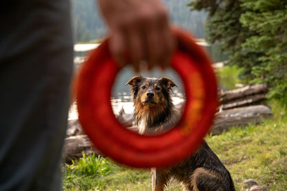 Juguete Flotante para Perros Ruffwear Hydro Plane