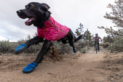 Zapatilla de Trail Ruffwear Hi & Light Blue Pool (Par)