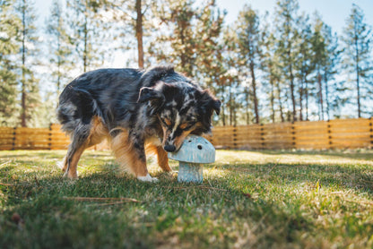 Juguete Interactivo de Alimentación Lenta para Perros Ruffwear Porcini