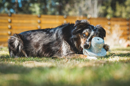 Juguete Interactivo de Alimentación Lenta para Perros Ruffwear Porcini