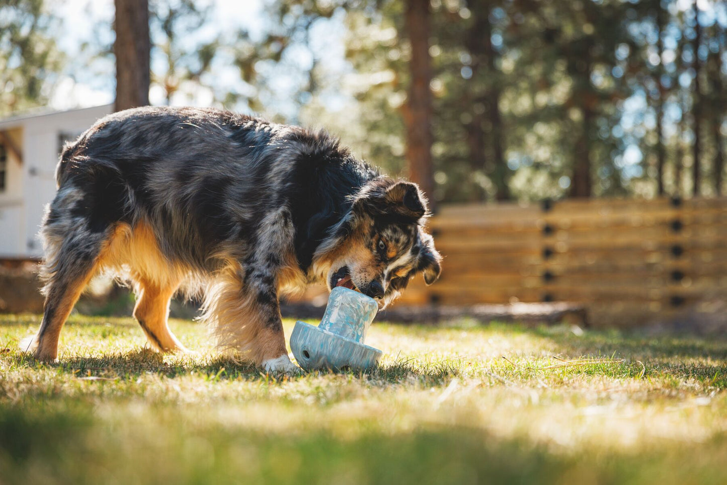 Juguete Interactivo de Alimentación Lenta para Perros Ruffwear Porcini
