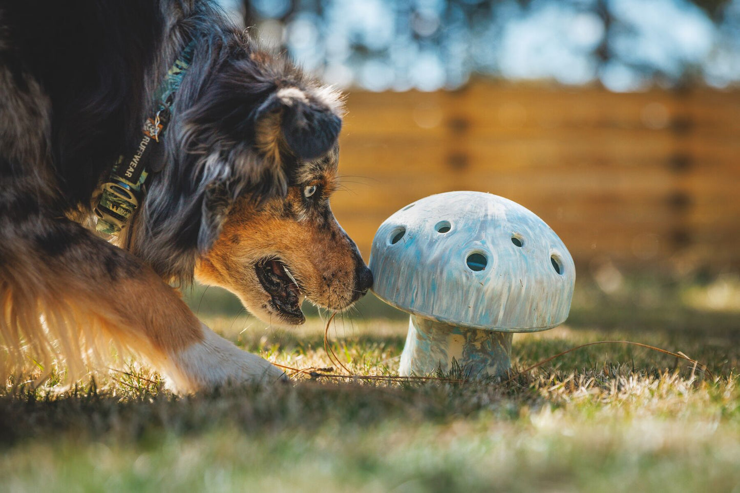 Juguete Interactivo de Alimentación Lenta para Perros Ruffwear Porcini