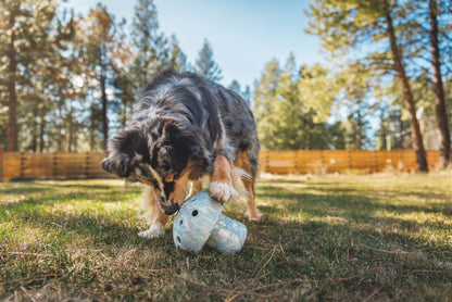Juguete Interactivo de Alimentación Lenta para Perros Ruffwear Porcini