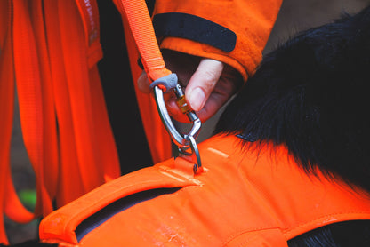 Correa Ruffwear para Perros Larga Rogue Long Line