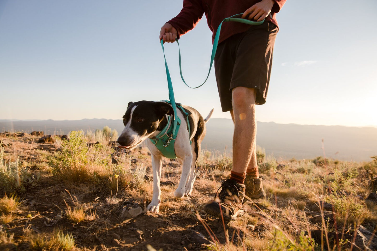 Correa Ruffwear para Perros Front Range