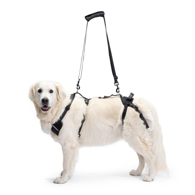 Arnés Canino Integral OrtoCanis