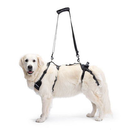 Arnés Canino Integral OrtoCanis