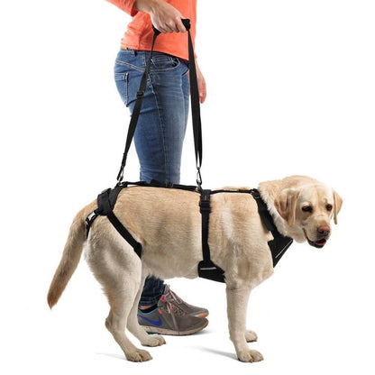 Arnés Canino Integral OrtoCanis