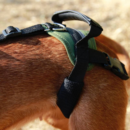 Arnés Canino Integral OrtoCanis