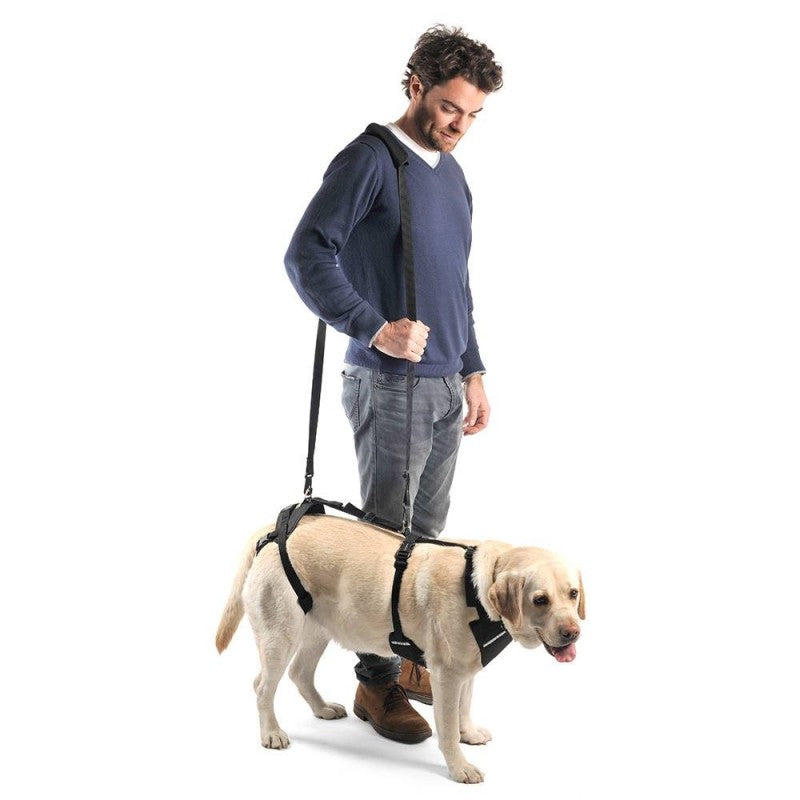 Arnés Canino Integral OrtoCanis