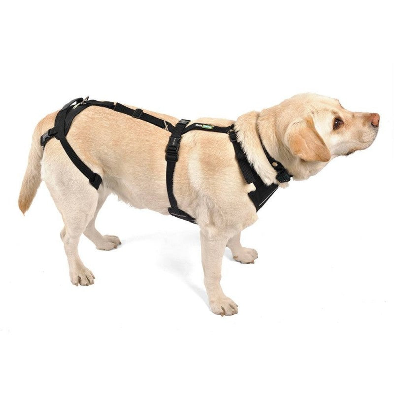 Arnés Canino Integral OrtoCanis