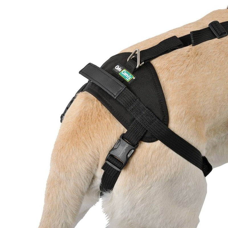 Arnés Canino Integral OrtoCanis
