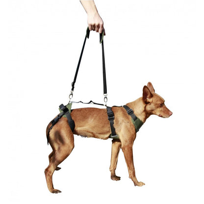 Arnés Canino Integral OrtoCanis