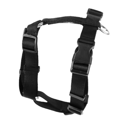 Cinta de sujeción lumbar OrtoCanis