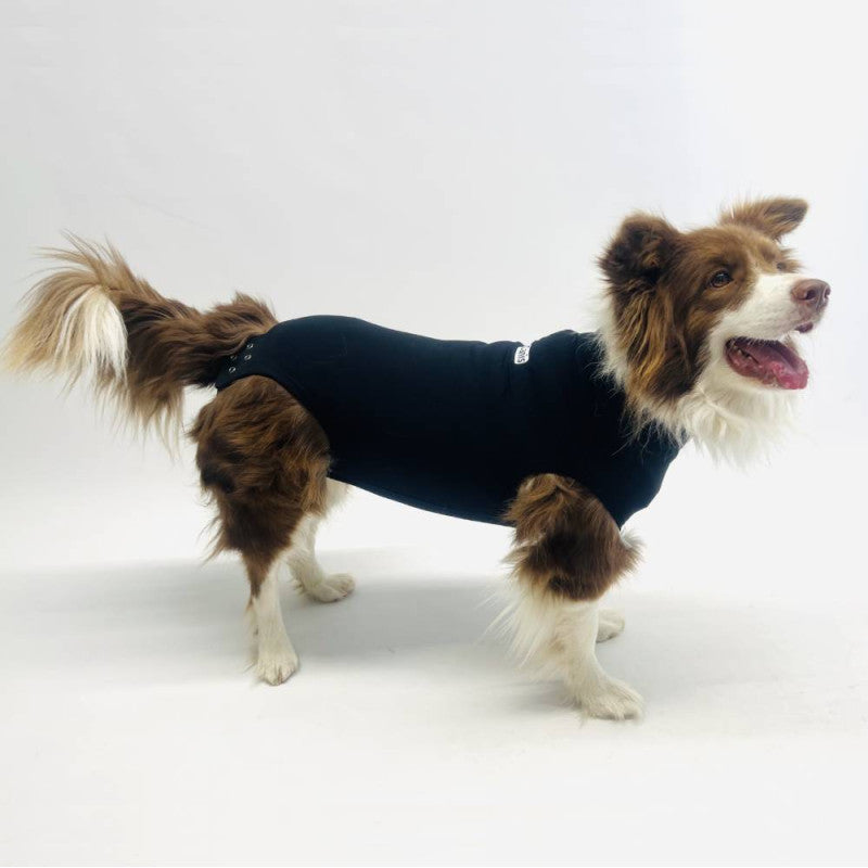 Body Protector para Perro OrtoCanis
