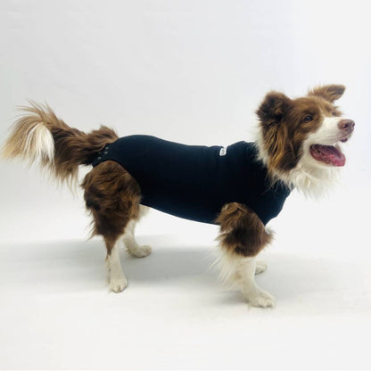 Body Protector para Perro OrtoCanis
