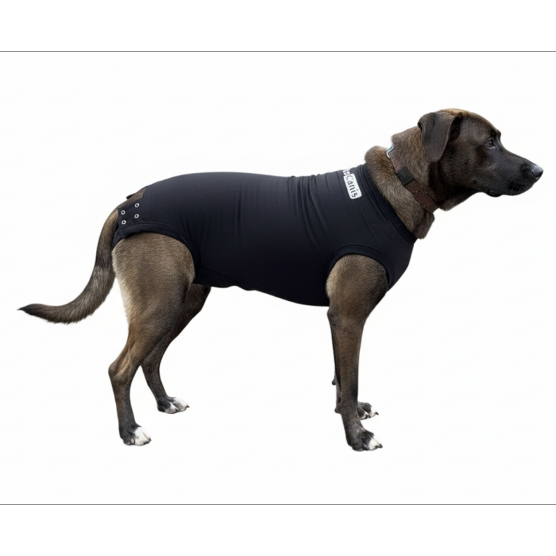Body Protector para Perro OrtoCanis