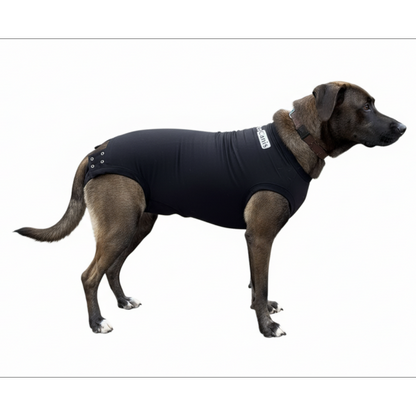 Body Protector para Perro OrtoCanis