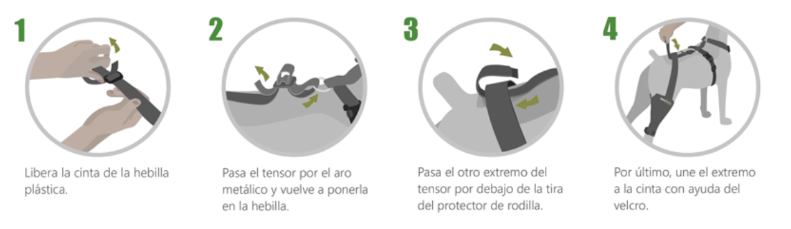 Cinta de sujeción lumbar OrtoCanis