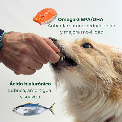 Suplemento Condroprotector OrtoCanis