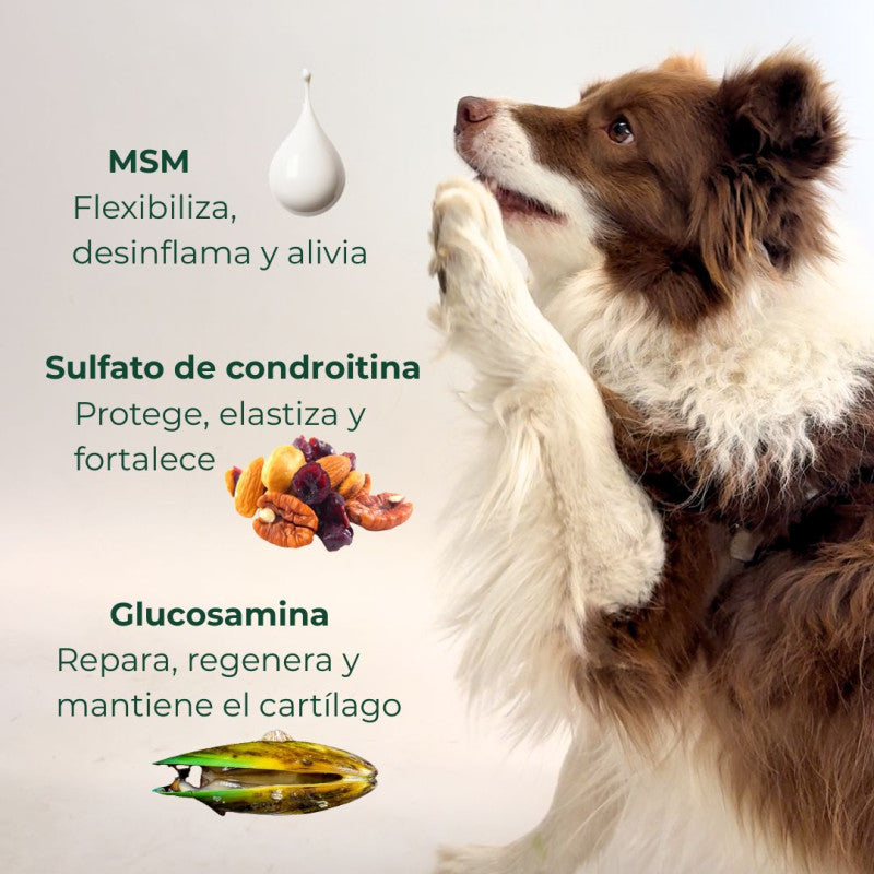 Suplemento Condroprotector OrtoCanis
