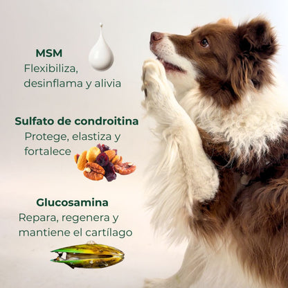 Suplemento Condroprotector OrtoCanis